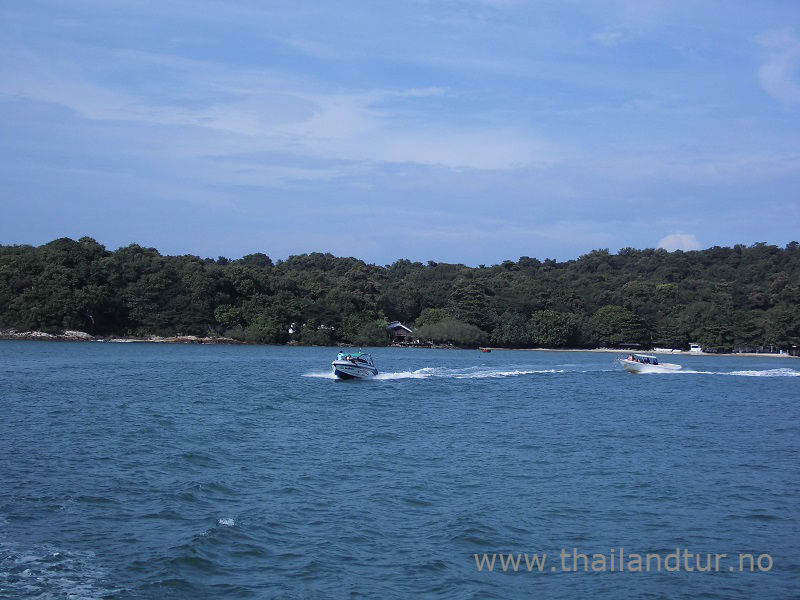 Slik dykker du trygt i Thailand