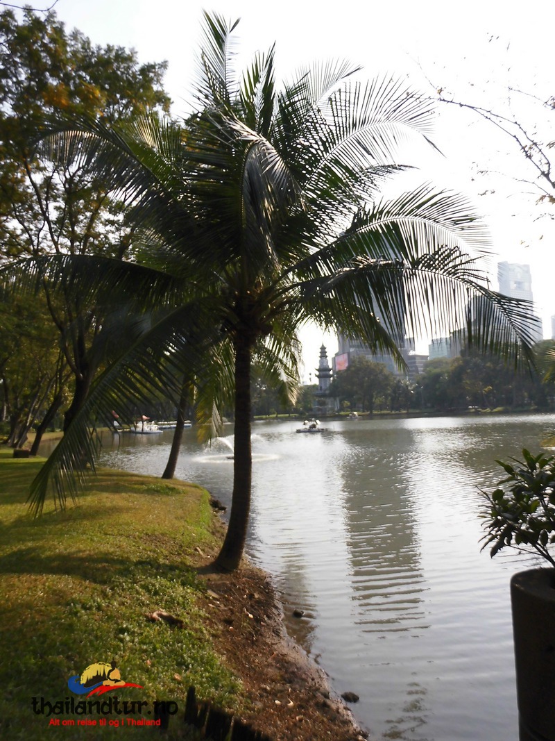 Lumpiniparken i Bangkok